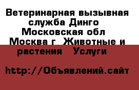 Ветеринарная вызывная служба Динго - Московская обл., Москва г. Животные и растения » Услуги   